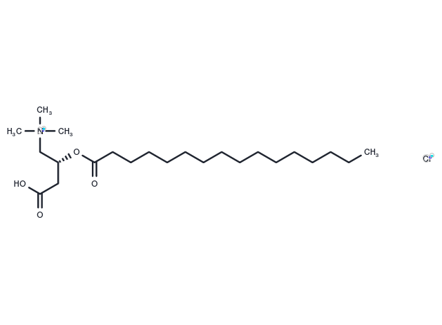 L-Palmitoylcarnitine chloride Chemical Structure
