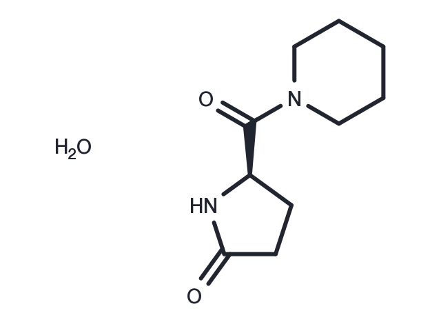 Fasoracetam monohydrate Chemical Structure