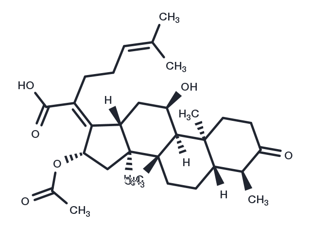 3-keto Fusidic Acid Chemical Structure