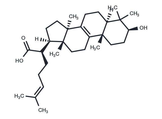 Trametenolic acid Chemical Structure