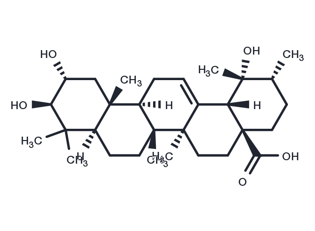 Tormentic acid Chemical Structure