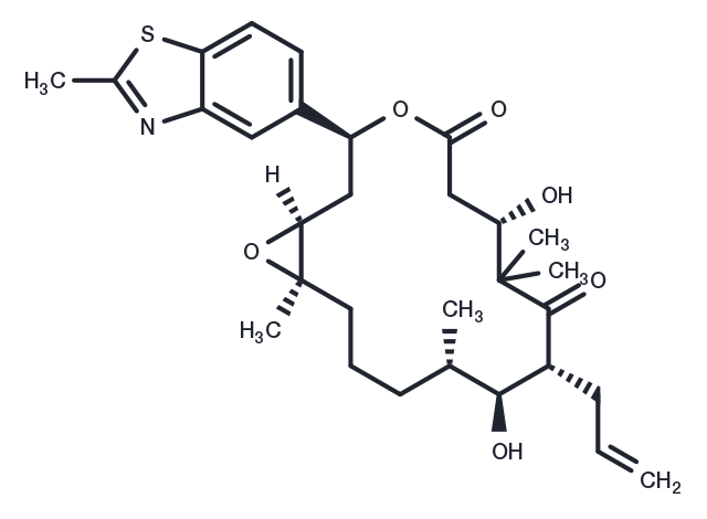 Sagopilone Chemical Structure