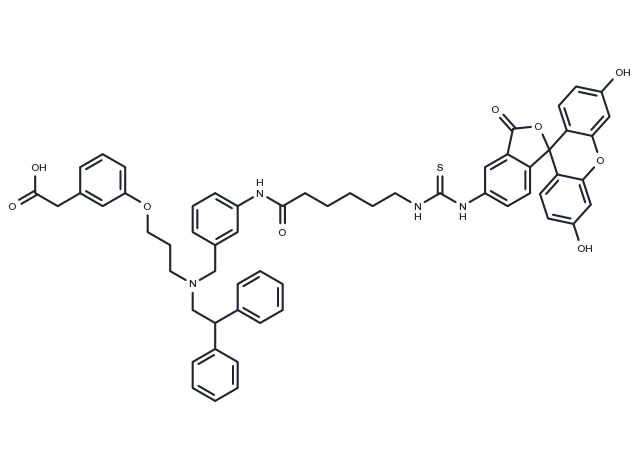 FITC-GW3965 Chemical Structure