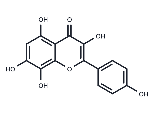 Herbacetin Chemical Structure