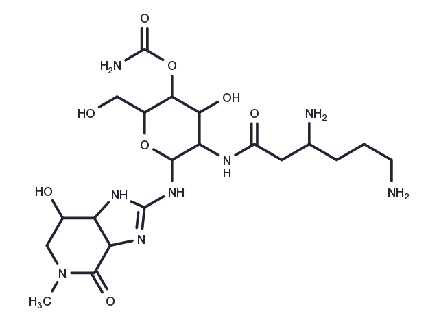 N-Methylstreptothricin F Chemical Structure