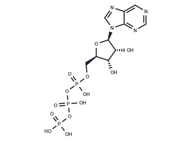 Purine riboside triphosphate Chemical Structure