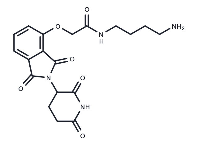 Thalidomide-O-amido-C4-NH2 Chemical Structure