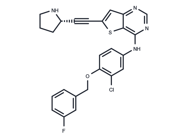 GW837016X Chemical Structure
