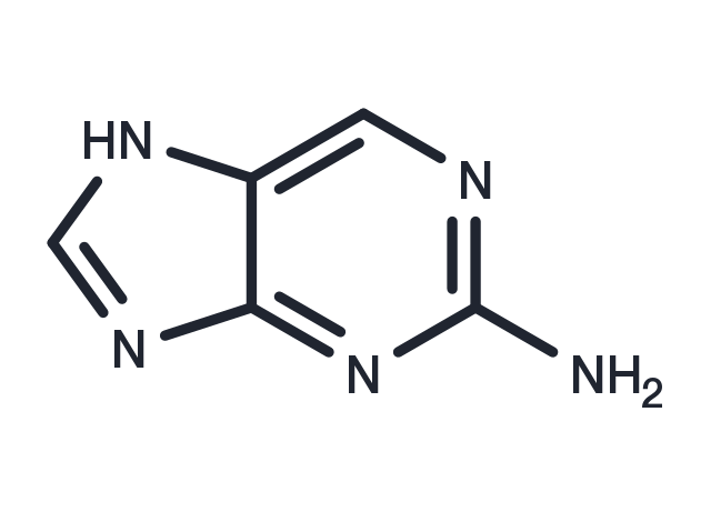 2-Aminopurine