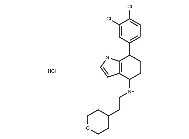 Antifungal agent 22 Chemical Structure