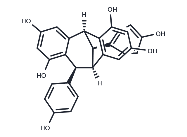 (+)-Isoampelopsin F Chemical Structure