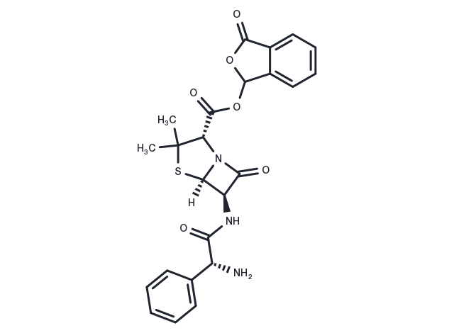 Talampicillin Chemical Structure