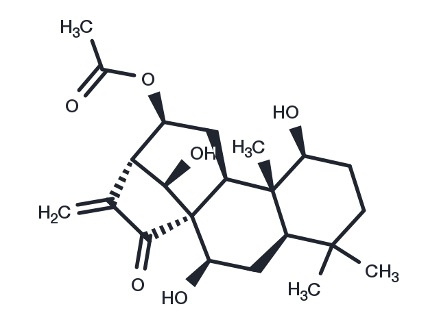 Excisanin B Chemical Structure