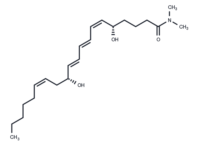 Leukotriene B4 dimethyl amide Chemical Structure