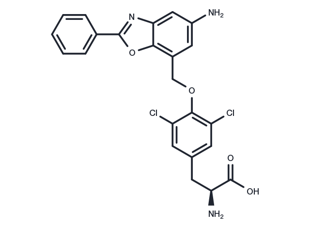 JPH203 Chemical Structure