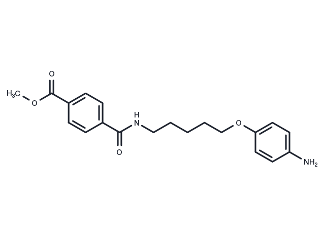 Terephthalamic acid, N-(5-(p-aminophenoxy)pentyl)-, methyl ester Chemical Structure
