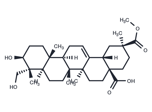 Phytolaccagenic acid