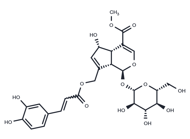 10-O-Caffeoyl-6-epiferetoside Chemical Structure