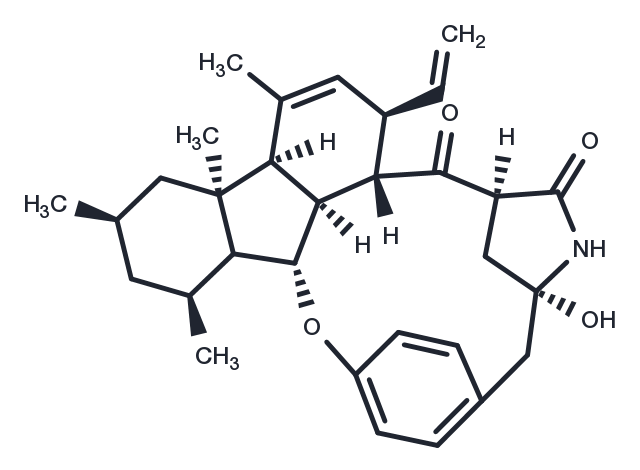 Pyrrocidine B Chemical Structure
