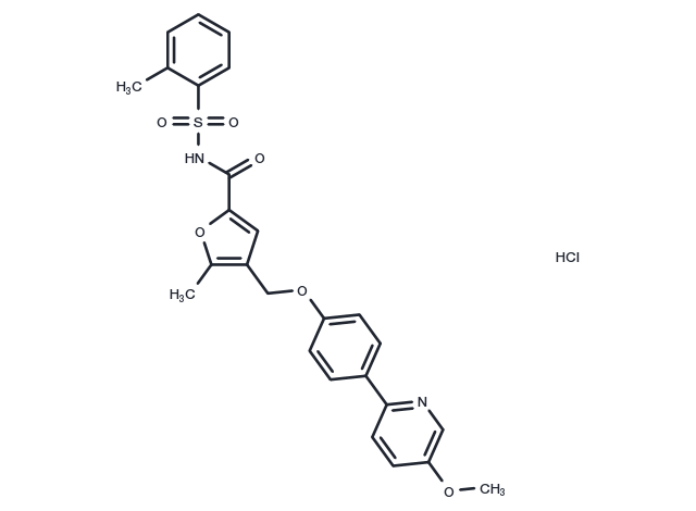 BGC-20-1531 hydrochloride(1186532-61-5 free base) Chemical Structure