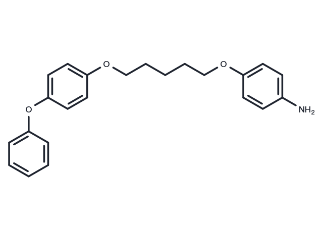 Aniline, p-(5-(p-phenoxyphenoxy)pentyloxy)- Chemical Structure