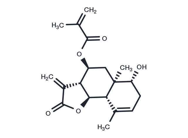 8α-Methacryloyloxybalchanin Chemical Structure