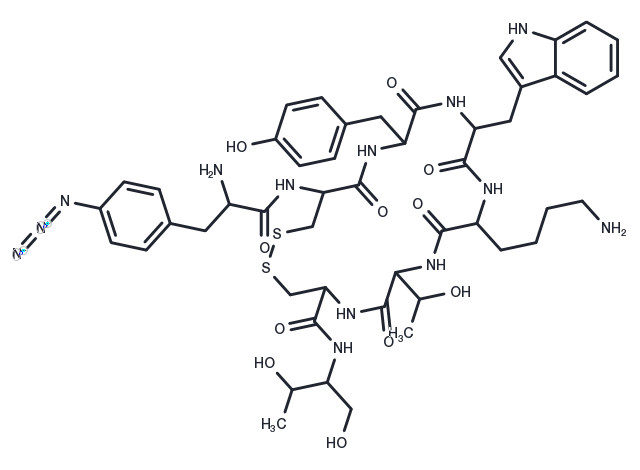 EE 581 Chemical Structure
