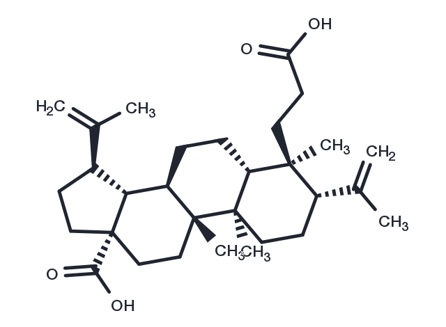 3,4-Secolupa-4(23),20(29)-diene-3,28-dioic acid Chemical Structure