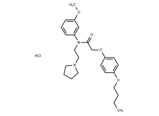 Acetamide, N-(m-anisyl)-2-(p-butoxyphenoxy)-N-(2-(1-pyrrolidinyl)ethyl)-, hydrochloride Chemical Structure