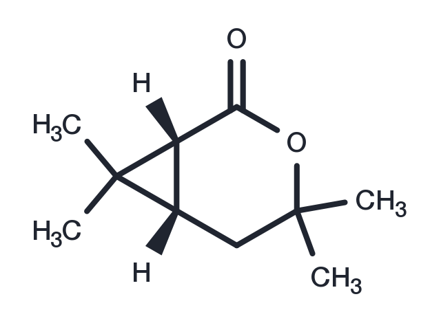 (1R)-Chrysanthemolactone