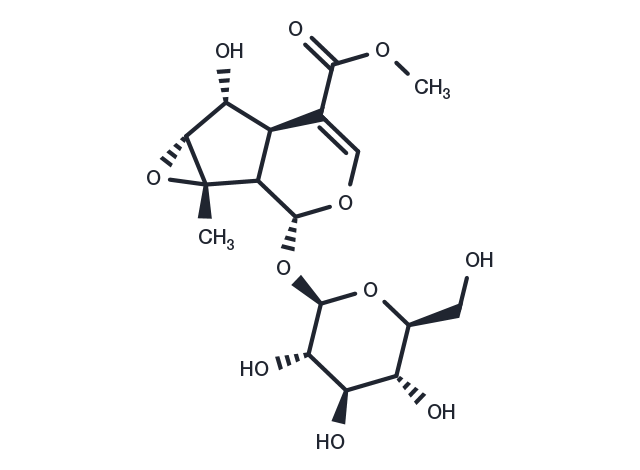 Phlorigidoside C Chemical Structure