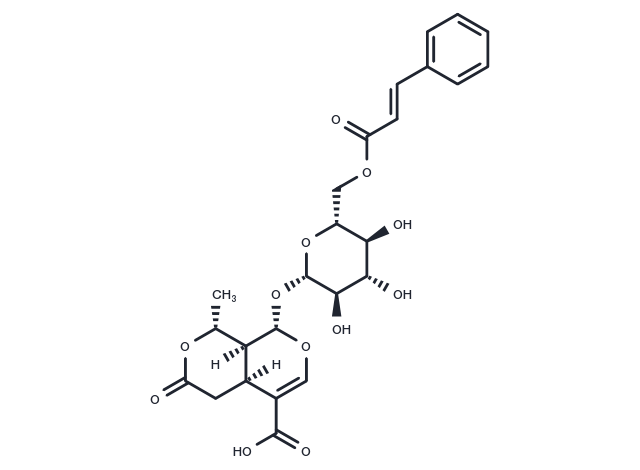6'-O-Cinnamoyl-8-epikingisidic acid Chemical Structure