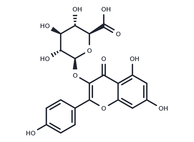 Kaempferol 3-O-β-D-glucuronide