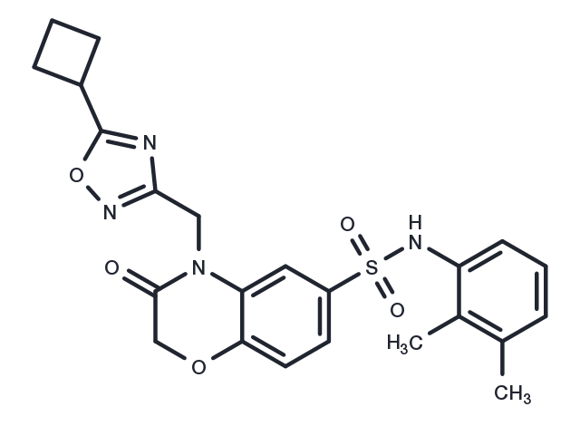 Beclin1-ATG14L interaction inhibitor 1 Chemical Structure