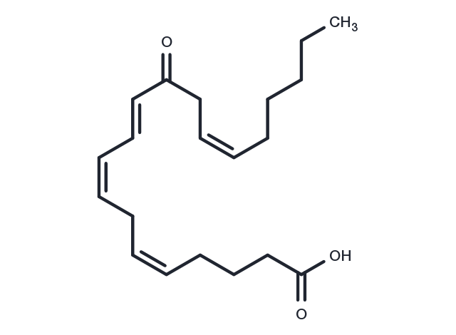 12-OxoETE Chemical Structure