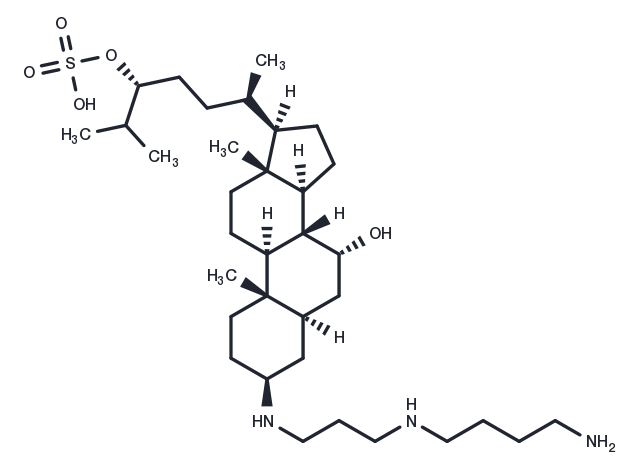 Squalamine Chemical Structure