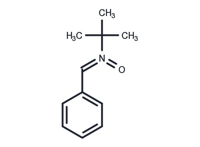 N-tert-butyl-α-Phenylnitrone Chemical Structure