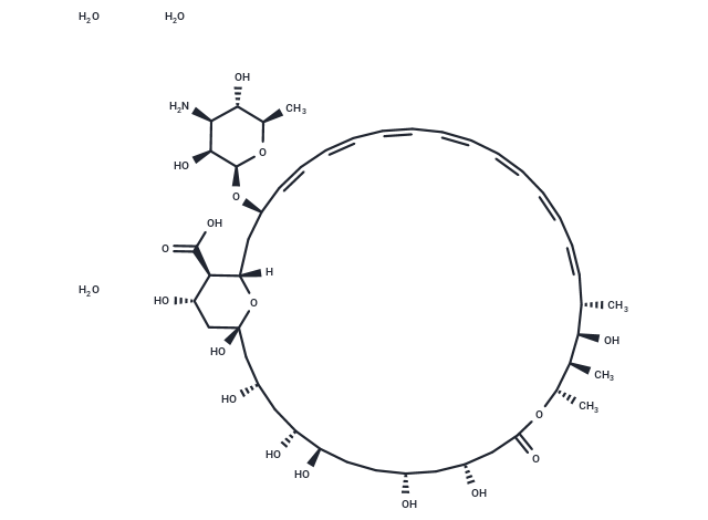 Amphotericin B trihydrate Chemical Structure