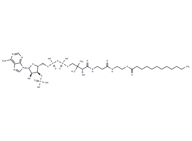 Lauroyl-coenzyme A Chemical Structure