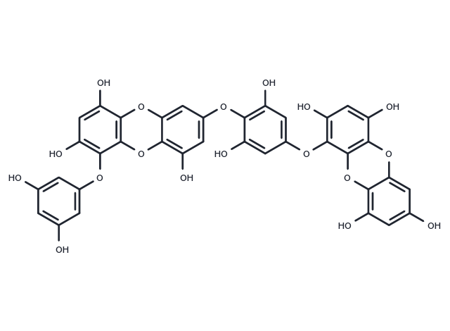Dieckol Chemical Structure