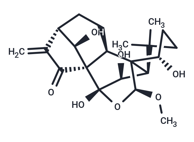 Rabdoternin F Chemical Structure