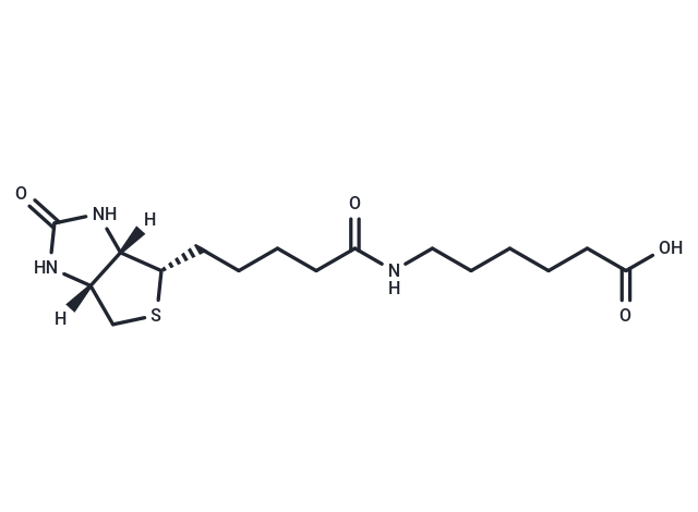 N-Biotinyl-6-aminohexanoic acid Chemical Structure