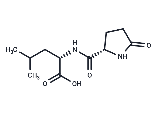 Pyroglutamylleucine Chemical Structure