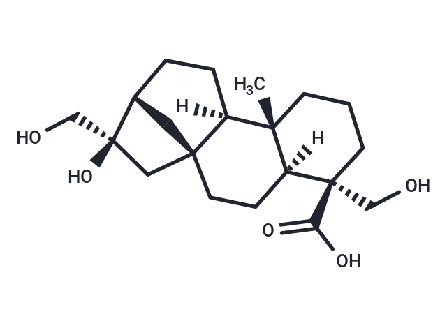 Kauran-18-oic acid, 16,17,19-trihydroxy-, (4α)- Chemical Structure