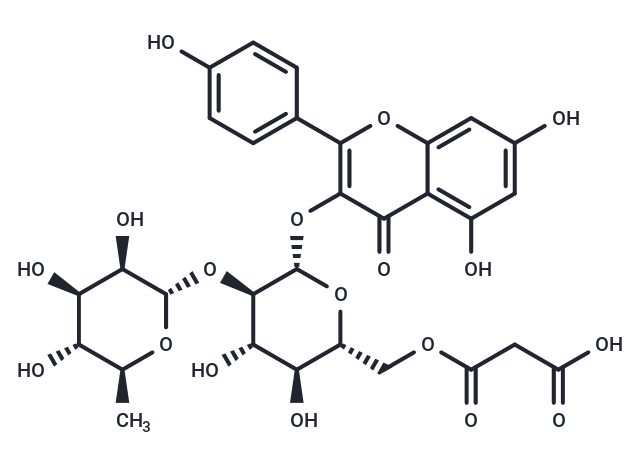 Kaempferol 3-O-(2′′-O-α-rhamnosyl-6′′-O-malonyl-β-glucoside) Chemical Structure