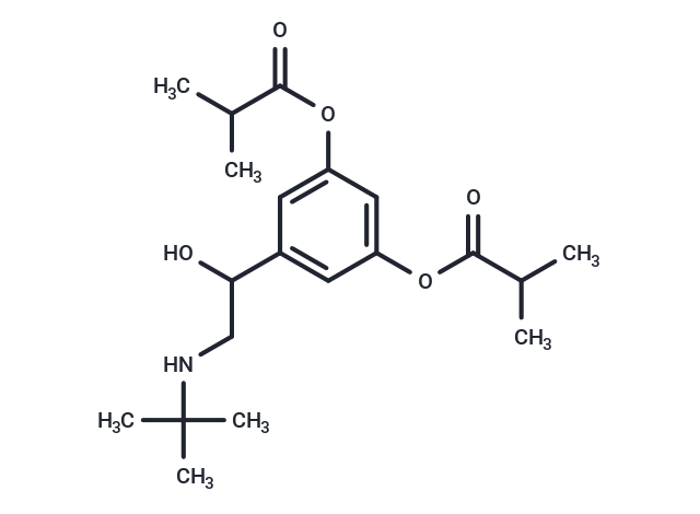 ibuterol Chemical Structure