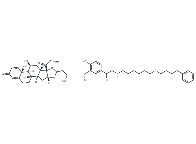 Budesonide mixture with salmeterol Chemical Structure