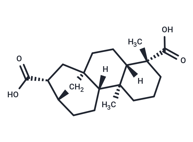 ent-Kauran-17,19-dioic acid Chemical Structure