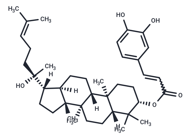 Dammarenediol II 3-O-caffeate Chemical Structure