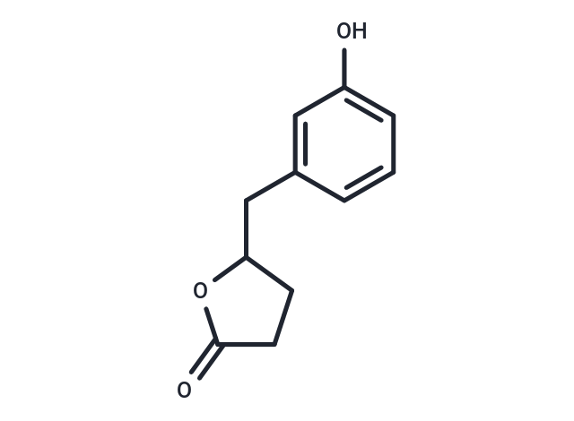5-(3'-Hydroxyphenyl)-γ-Valerolactone Chemical Structure